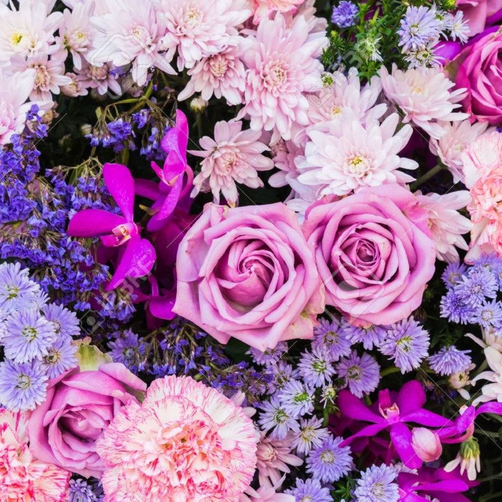 Meet your Posher, Sugar